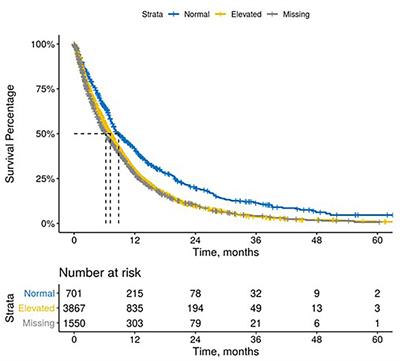 The Association of Real-World CA 19-9 Level Monitoring Patterns and Clinical Outcomes Among Patients With Metastatic Pancreatic Ductal Adenocarcinoma 